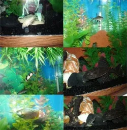 Untitled_1.webp