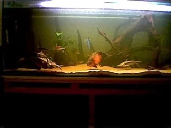 forum_pic_2.webp