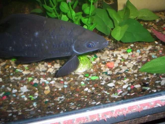 000_0033.webp