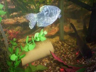 000_0025.webp
