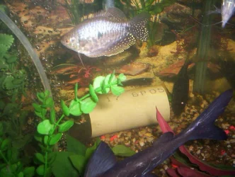 000_0032.webp
