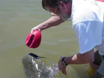fish_story_005.webp