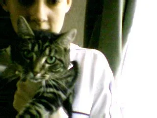 Picture_22.webp