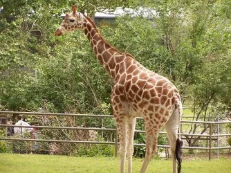 100_5999.webp