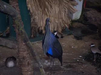 100_6052.webp