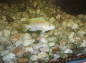 000_0192.webp