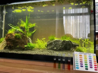 Tank and Test Day 1.webp