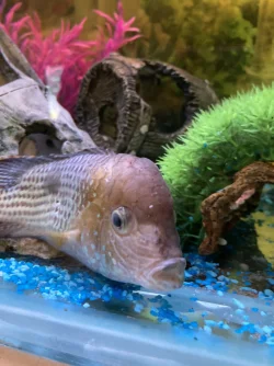 FEB51517-4D11-48B6-9844-0FFC27EA9A80.webp
