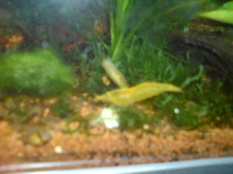 DSC00132.webp