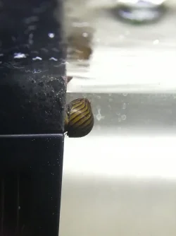 IMG_20211124_193807.webp