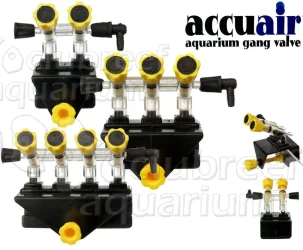 air gang valve.webp