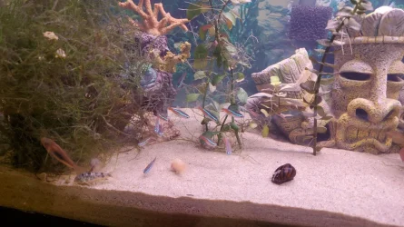 20220123_081608.webp