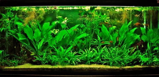115g Apr 18-13.webp