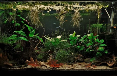 29g Sep 29-2021 (2).webp