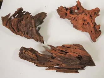 Malaysian Driftwood (1).webp