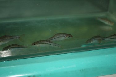 IMG_4903.JPG