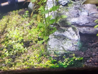 20220219_182448.webp
