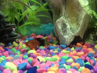 593A16A6-5631-42A4-B9B9-39B9FB1F94B8.webp