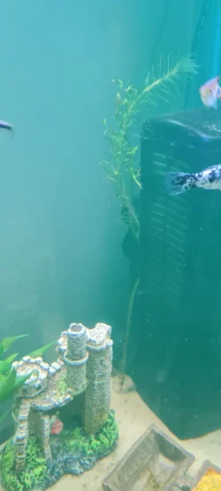 20220311_223455.webp