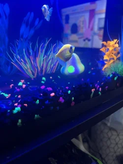 2FD19606-79B4-4A64-9256-F3BE564DF55C.webp