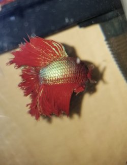20220316_154724.jpg