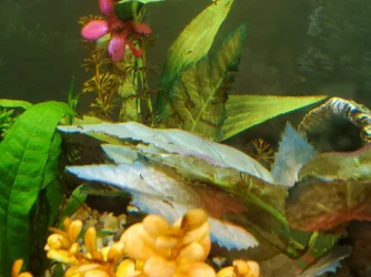 20220324_175829.webp