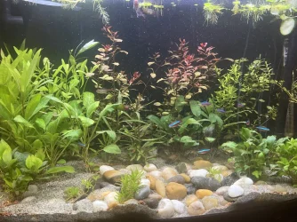 0E78A1BB-A017-4B36-9AAE-8F2E762E260F.webp
