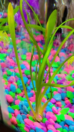 20220408_075043.webp