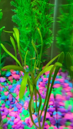 20220408_074709.webp