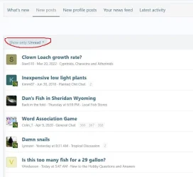 new posts.webp new posts.webp