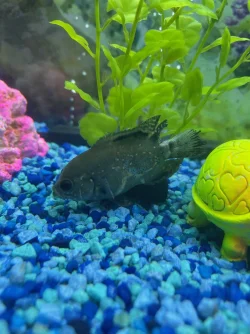 image1 (1).webp