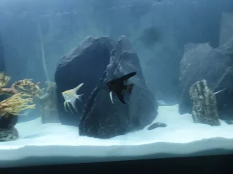 20220423_091744.webp