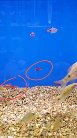 20220427_121743.webp