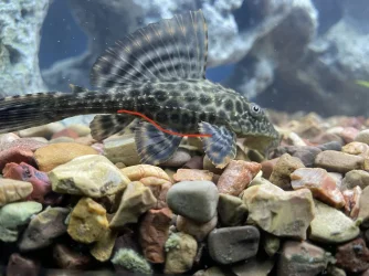 6F4A3D61-9A4E-4247-B26D-66B26597AF04.webp