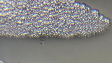 VideoCapture_20220503-142017.webp