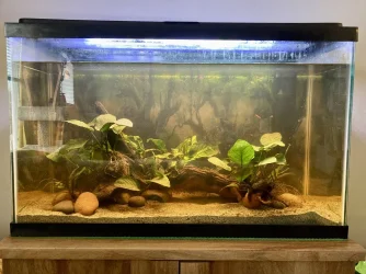 30gal_5-9-2022.webp