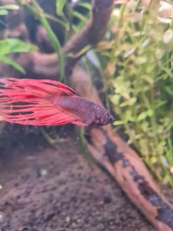 20220514_085342.webp