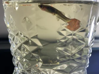 4D82801E-1850-4979-966D-932BEE14CC2B.webp