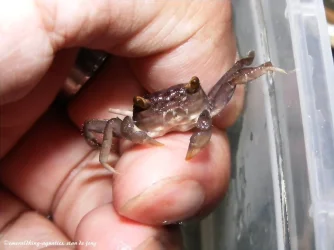 DSCF6376.webp