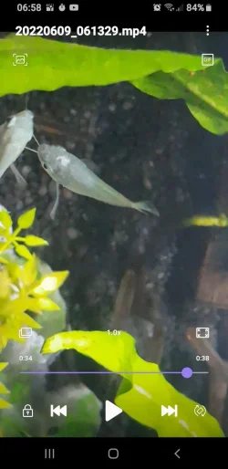 Screenshot_20220609-065832_Video Player.webp