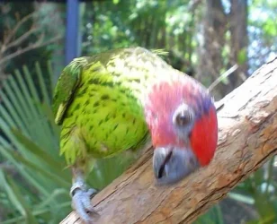 zoo07.webp