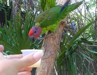 zoo01.webp