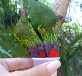 zoo02.webp