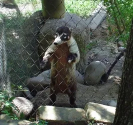 zoo.webp