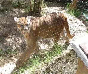 zoo1.webp