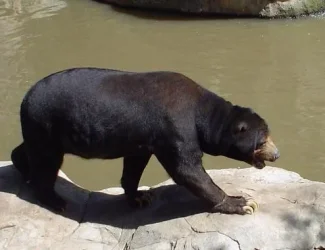 zoo6.webp