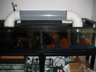 water_bridgem.webp