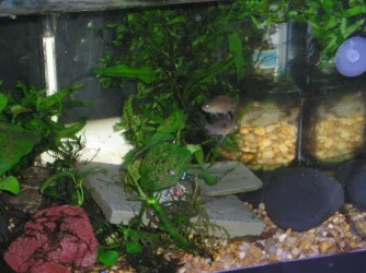 BRYAN_FAMILY_pets_049.webp