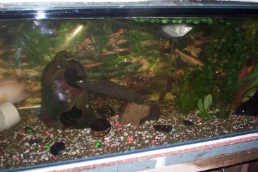 000_0102.webp