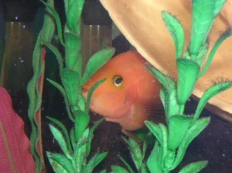 Picture_058.webp